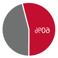 60% pie chart